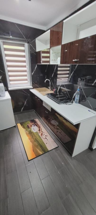 Andi 2-Apartament Băile Herculane Eksteriør billede