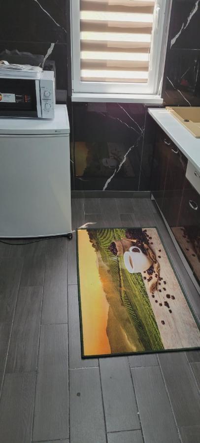 Andi 2-Apartament Băile Herculane Eksteriør billede